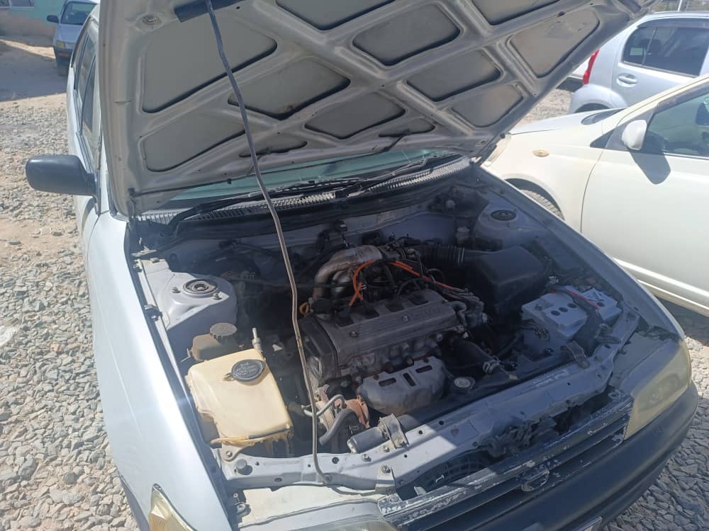 2000 Toyota Corolla Wagon (Saracha)